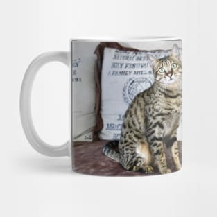 Savannah Cat 3 / Swiss Artwork Photography Mug